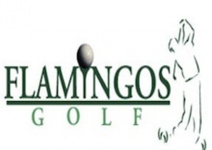 30% Discount on Flamingo's Golf (view more)